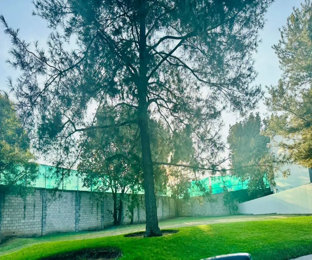 Terreno En Venta,Club de Golf Las Lomas,Avenida Del Country 220, Zapopan, Jalisco 45019,Avenida Del Country,p0Z9Bxx Terreno En Venta,Club de Golf Las Lomas,Avenida Del Country 220, Zapopan, Jalisco 45019,Avenida Del Country,p0Z9Bxx