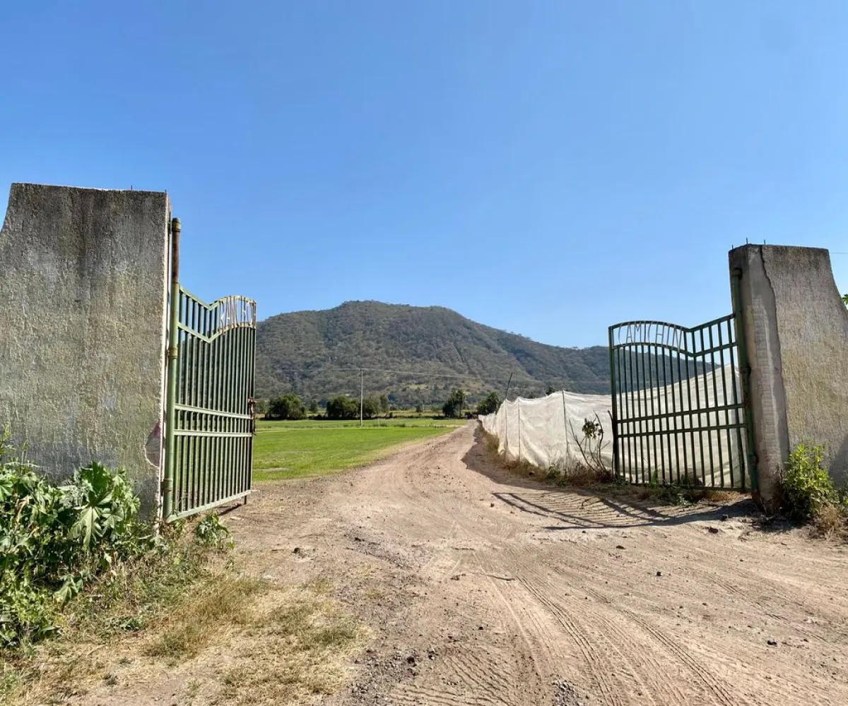 Terreno En Venta,Villa Corona Centro,EL CAMICHIN S/N, Villa Corona, Jalisco 45730,EL CAMICHIN,pP7NOWs