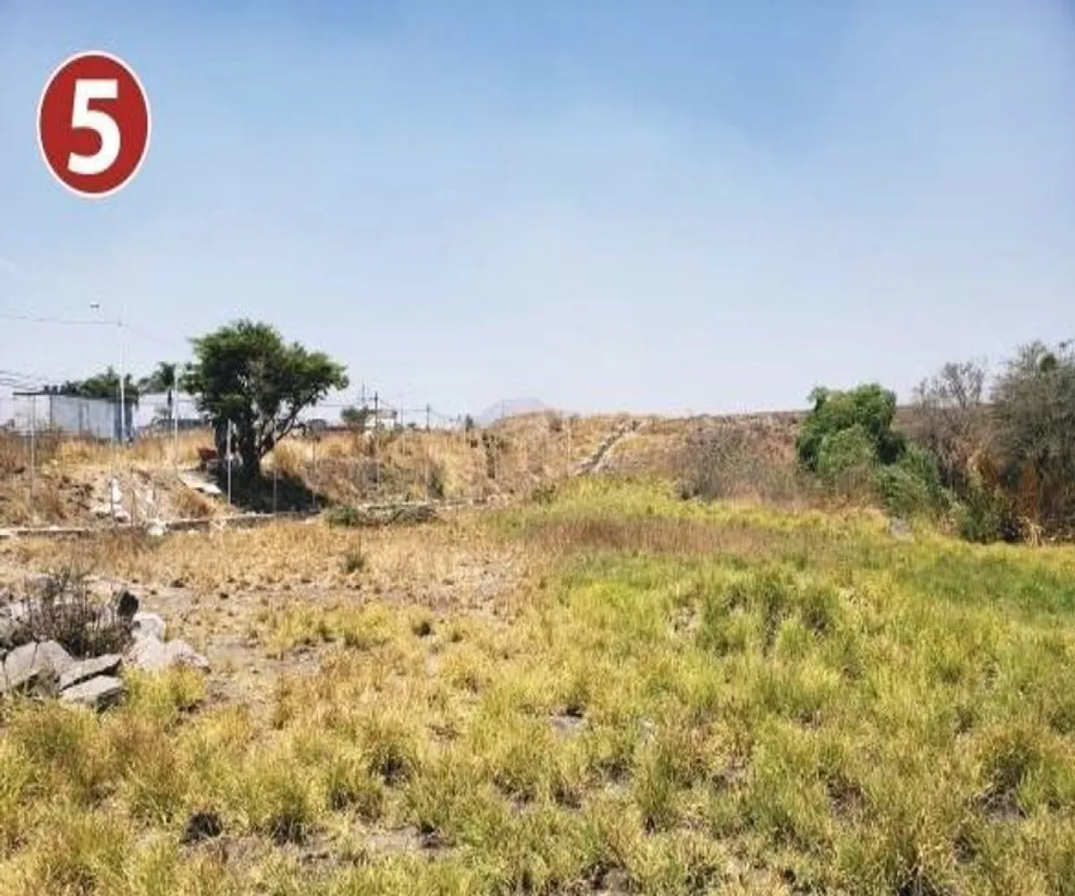 Terreno En Venta,San Sebastián El Grande,Camino a Unión del 4 S/N, Tlajomulco de Zúñiga, Jalisco 45653,Camino a Unión del 4,pedksFV Terreno En Venta,San Sebastián El Grande,Camino a Unión del 4 S/N, Tlajomulco de Zúñiga, Jalisco 45653,Camino a Unión del 4,pedksFV