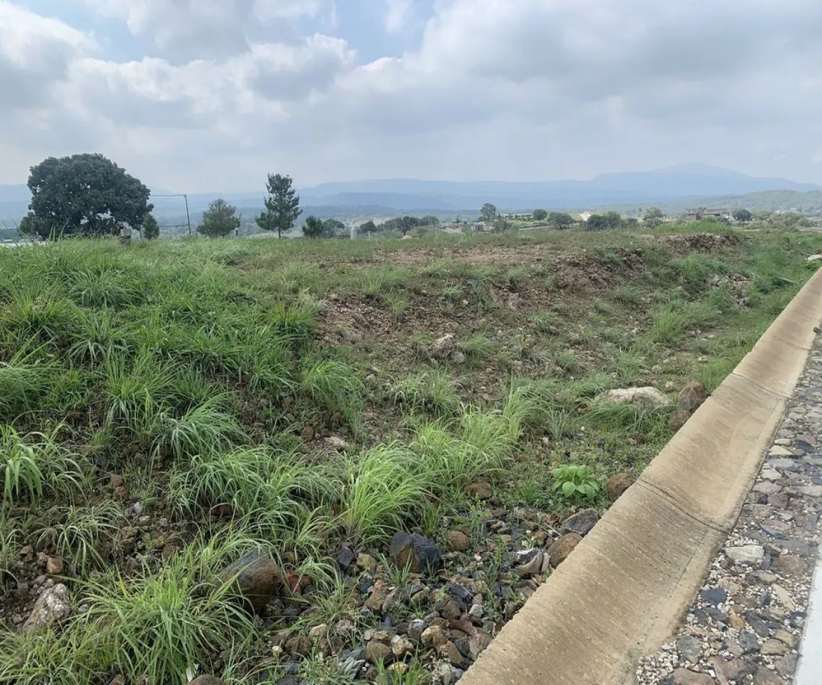 Terreno En Venta,Santa Cruz del Astillero,Pirul Manzana L, El Arenal, Jalisco 45350,Pirul,poMuSnq