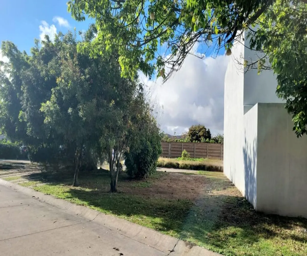 Terreno En Venta,Los Manzanos,Los Manzanos Sur 601, Tlajomulco de Zúñiga, Jalisco 45640,Los Manzanos Sur,p8rT4RP Terreno En Venta,Los Manzanos,Los Manzanos Sur 601, Tlajomulco de Zúñiga, Jalisco 45640,Los Manzanos Sur,p8rT4RP