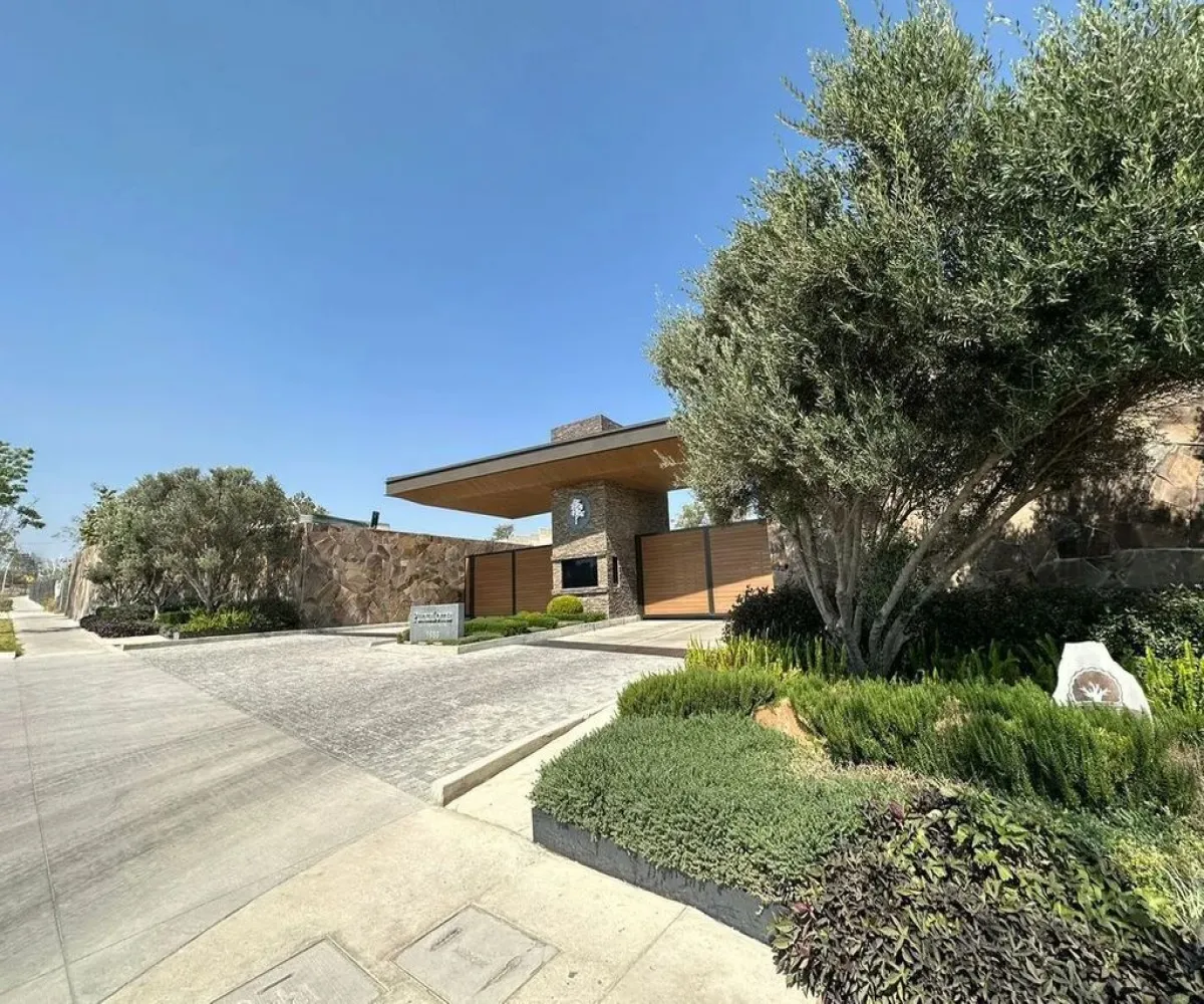 Terreno En Venta,Vallarta Universidad,Avenida Universidad 1680, Zapopan, Jalisco 45110,Avenida Universidad ,p2jBvOY Terreno En Venta,Vallarta Universidad,Avenida Universidad 1680, Zapopan, Jalisco 45110,Avenida Universidad ,p2jBvOY