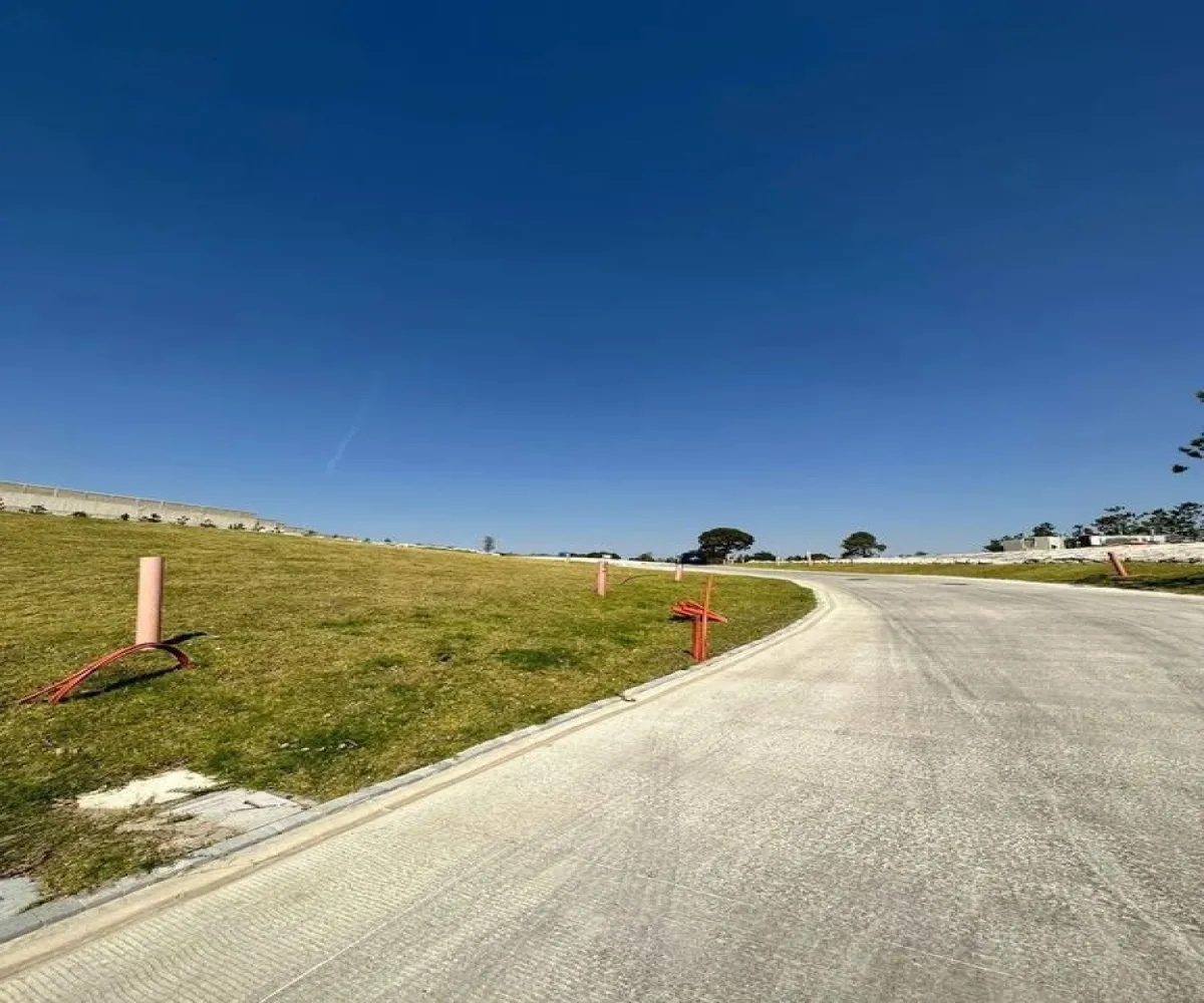 Terreno En Venta,Vallarta Universidad,Avenida Universidad 1680, Zapopan, Jalisco 45110,Avenida Universidad ,p2jBvOY Terreno En Venta,Vallarta Universidad,Avenida Universidad 1680, Zapopan, Jalisco 45110,Avenida Universidad ,p2jBvOY