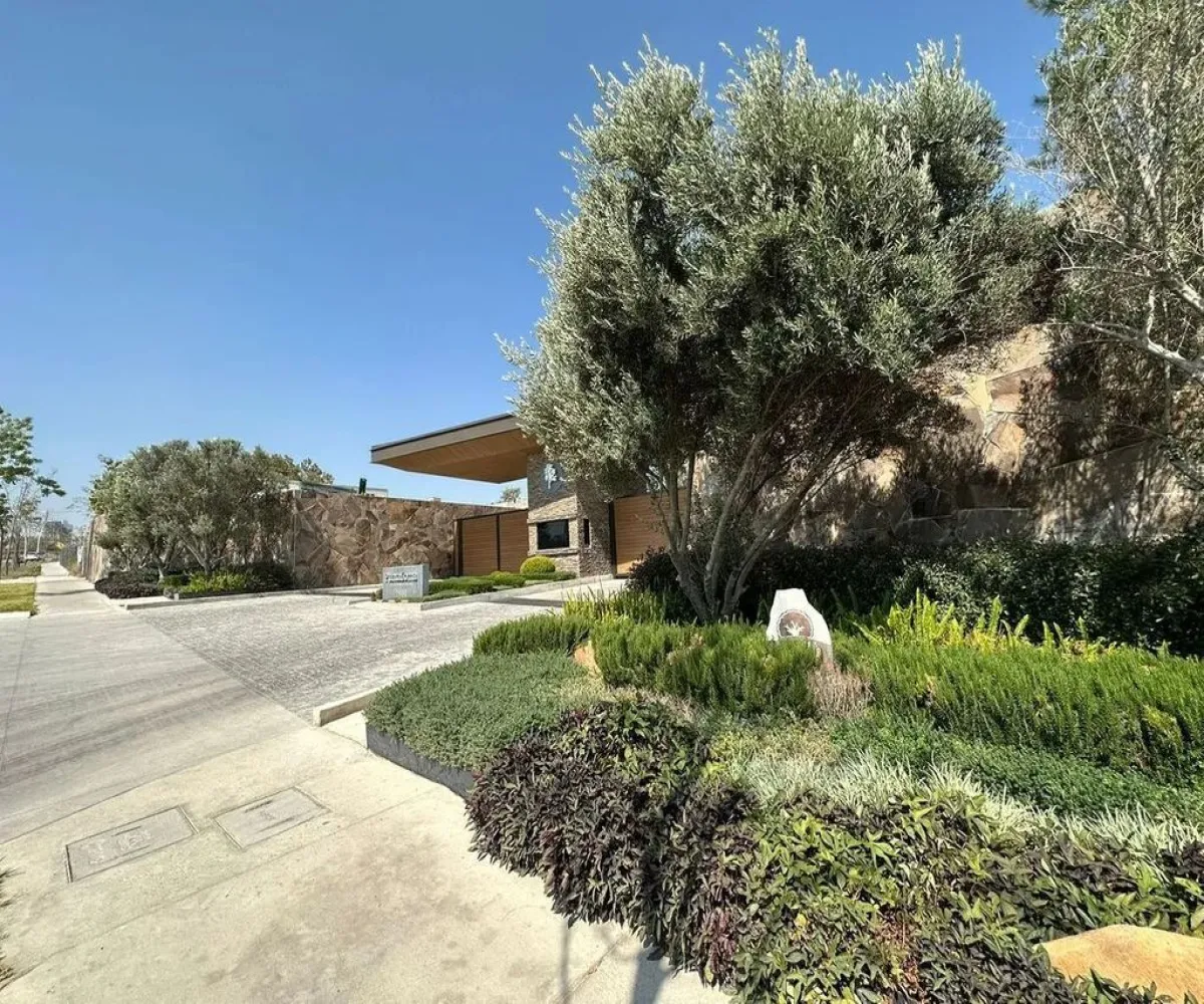 Terreno En Venta,Vallarta Universidad,Avenida Universidad 1680, Zapopan, Jalisco 45110,Avenida Universidad ,p2jBvOY Terreno En Venta,Vallarta Universidad,Avenida Universidad 1680, Zapopan, Jalisco 45110,Avenida Universidad ,p2jBvOY