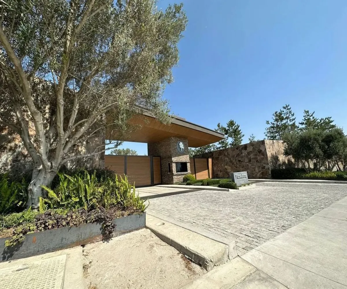 Terreno En Venta,Vallarta Universidad,Avenida Universidad 1680, Zapopan, Jalisco 45110,Avenida Universidad ,p2jBvOY Terreno En Venta,Vallarta Universidad,Avenida Universidad 1680, Zapopan, Jalisco 45110,Avenida Universidad ,p2jBvOY