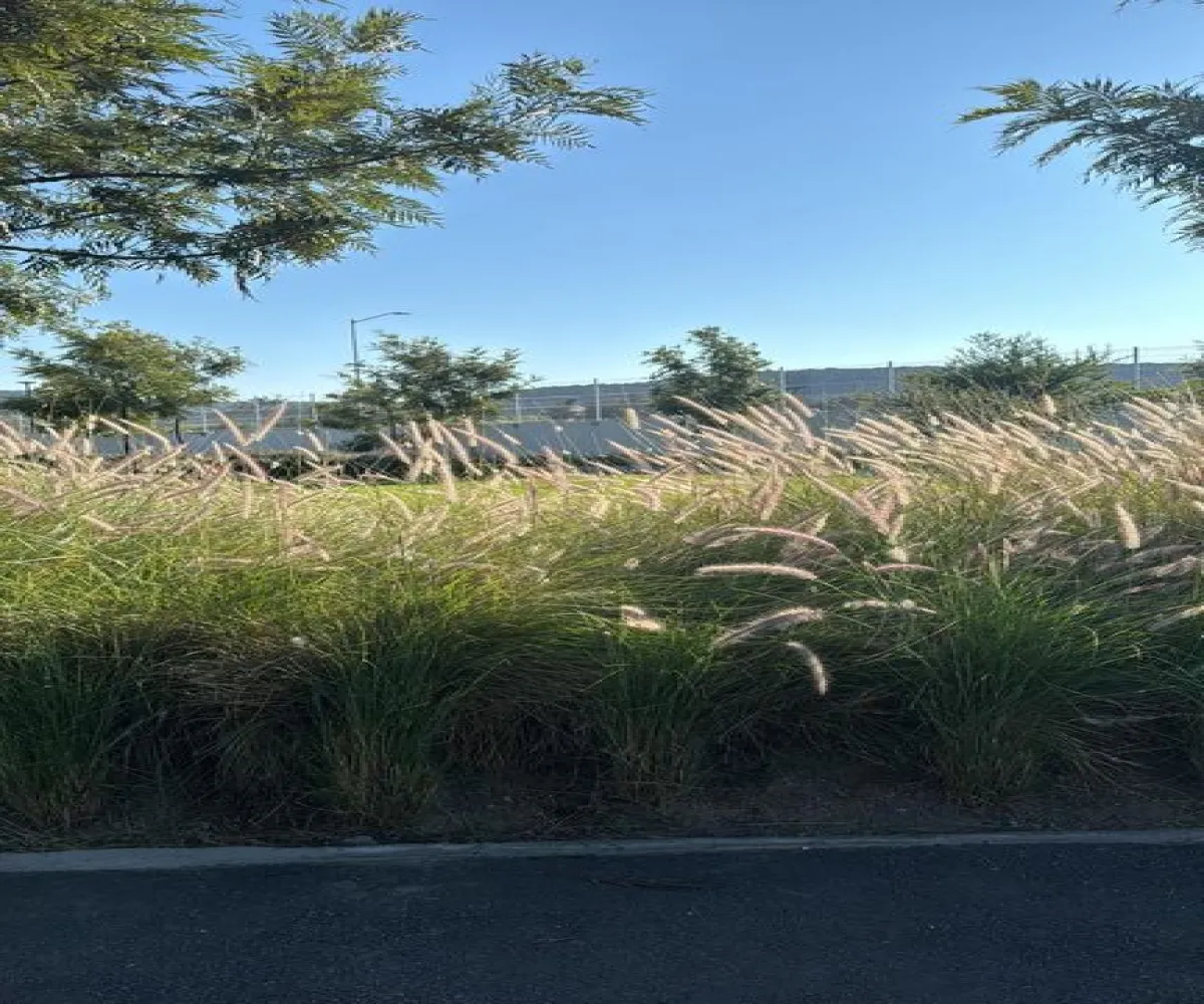 Casa En Venta,Bosques Vallarta,PARQUES VALLARTA S/N, Zapopan, Jalisco 45134, 1 Cuarto,1 Baño,PARQUES VALLARTA ,1,ptNuxnb