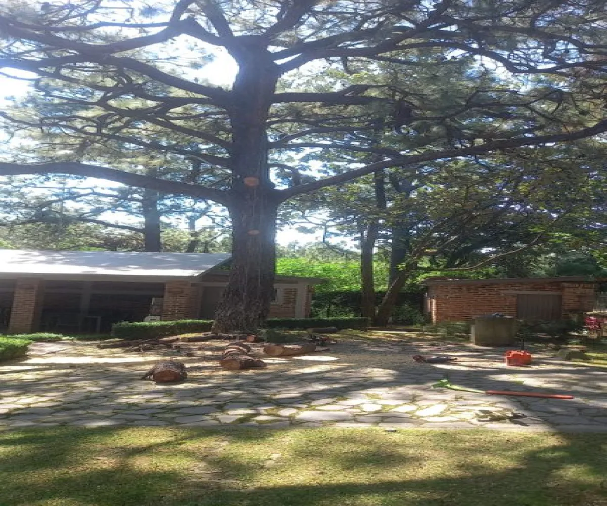 Terreno En Venta,Rancho en Paseo del fresno S/N, Zapopan, Jalisco 45226,Rancho en Paseo del fresno,1,p8ggGU7 Terreno En Venta,Rancho en Paseo del fresno S/N, Zapopan, Jalisco 45226,Rancho en Paseo del fresno,1,p8ggGU7