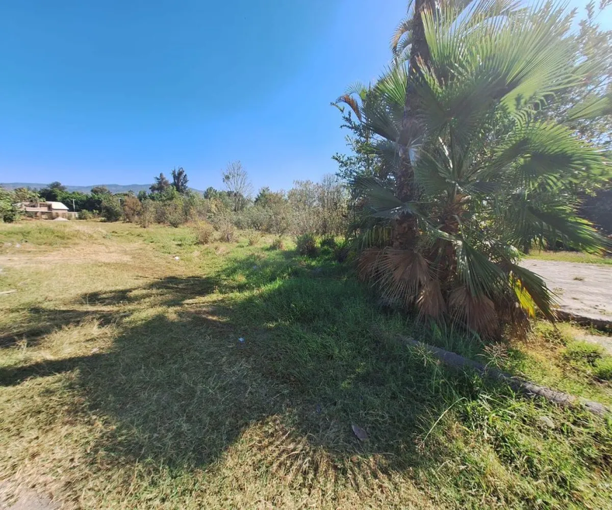 Casa En Venta,Agua Escondida,Justo Sierra 25, Ixtlahuacán de los Membrillos, Jalisco 45860, 4 Habitaciones,3 Baños,Justo Sierra,1,pL7tL3B Casa En Venta,Agua Escondida,Justo Sierra 25, Ixtlahuacán de los Membrillos, Jalisco 45860, 4 Habitaciones,3 Baños,Justo Sierra,1,pL7tL3B