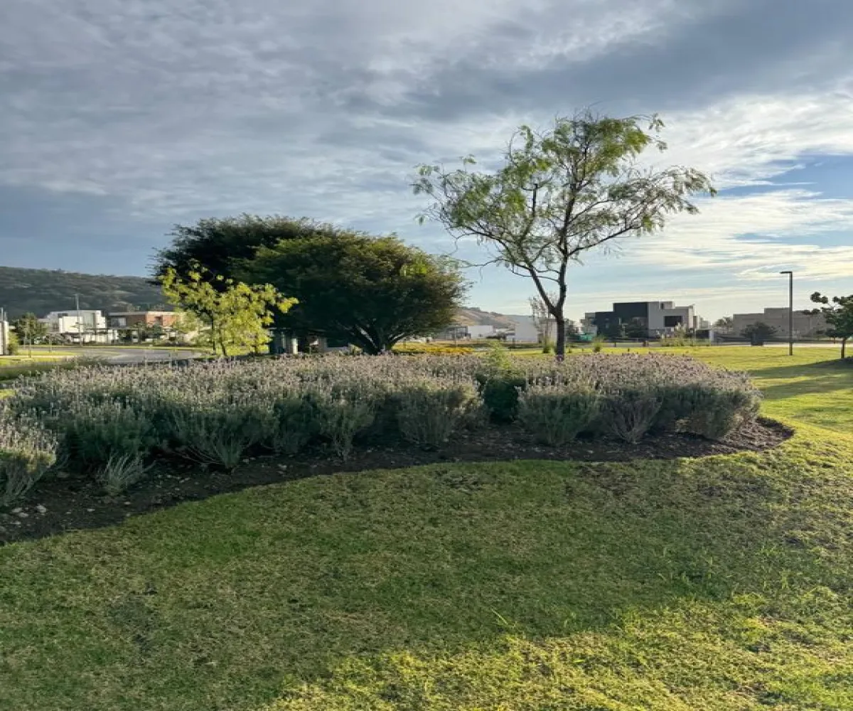 Local En Venta,Bosques de Santa Anita,El Eden 5 8, Tlajomulco de Zúñiga, Jalisco 45640,El Eden,1,p2amFIL