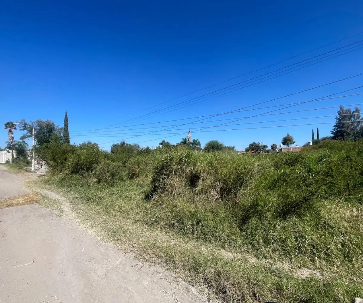 Terreno En Venta,Avenida de los Arcos 52, Tlajomulco de Zúñiga, Jalisco 45676,Avenida de los Arcos,pq6NHyy Terreno En Venta,Avenida de los Arcos 52, Tlajomulco de Zúñiga, Jalisco 45676,Avenida de los Arcos,pq6NHyy