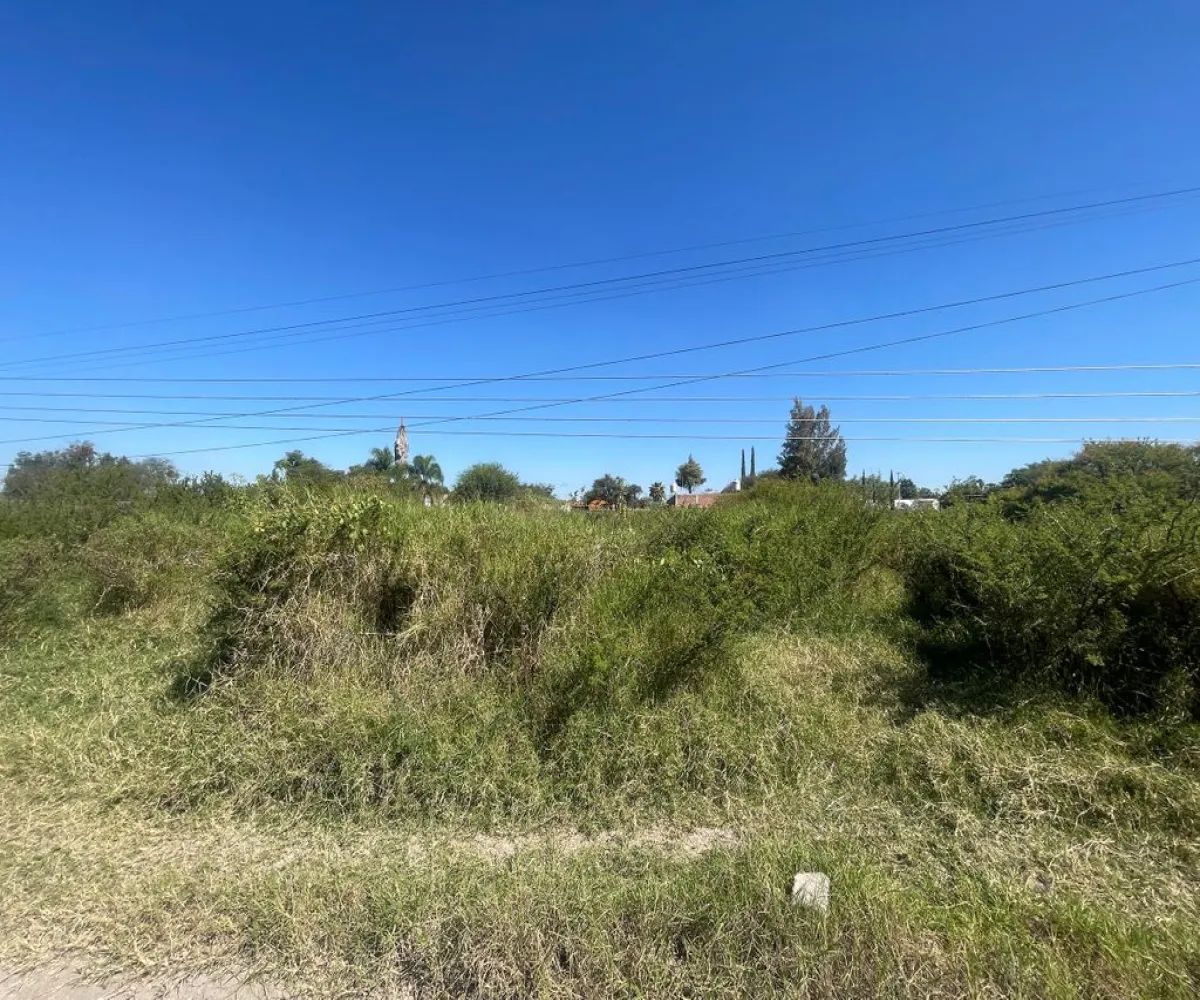 Terreno En Venta,Avenida de los Arcos 52, Tlajomulco de Zúñiga, Jalisco 45676,Avenida de los Arcos,pq6NHyy Terreno En Venta,Avenida de los Arcos 52, Tlajomulco de Zúñiga, Jalisco 45676,Avenida de los Arcos,pq6NHyy