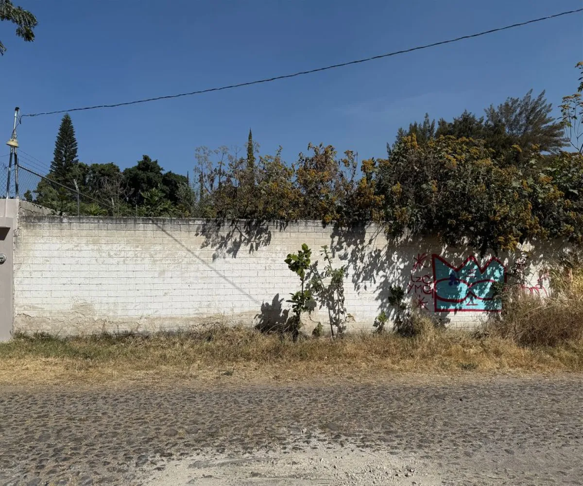 Terreno En Venta,La tijera,24 de Diciembre S/N, Tlajomulco de Zúñiga, Jalisco 45647,24 de Diciembre,phVoDcw