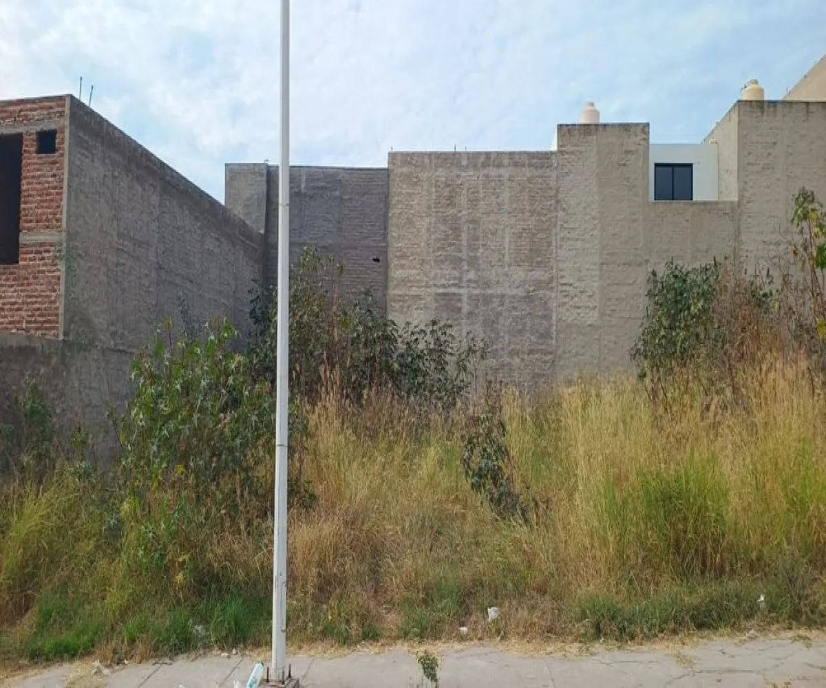 Terreno En Venta,Sagrado Corazón,Avenida Pedro García Salcedo 7, Zapotlanejo, Jalisco 45430,Avenida Pedro García Salcedo,pNnI1Zy Terreno En Venta,Sagrado Corazón,Avenida Pedro García Salcedo 7, Zapotlanejo, Jalisco 45430,Avenida Pedro García Salcedo,pNnI1Zy