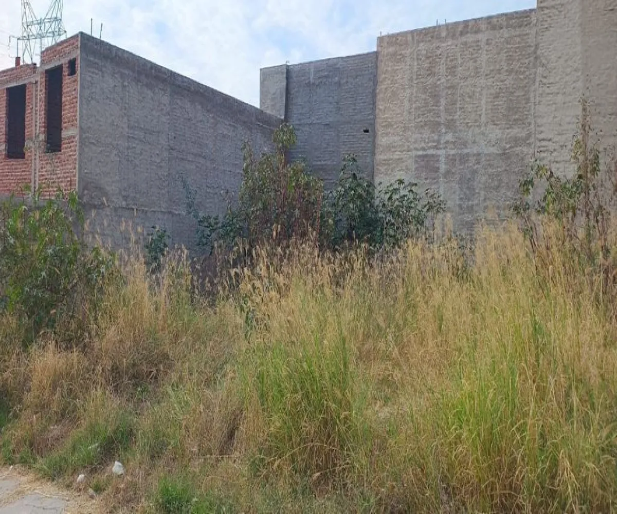 Terreno En Venta,Sagrado Corazón,Avenida Pedro García Salcedo 7, Zapotlanejo, Jalisco 45430,Avenida Pedro García Salcedo,pNnI1Zy Terreno En Venta,Sagrado Corazón,Avenida Pedro García Salcedo 7, Zapotlanejo, Jalisco 45430,Avenida Pedro García Salcedo,pNnI1Zy