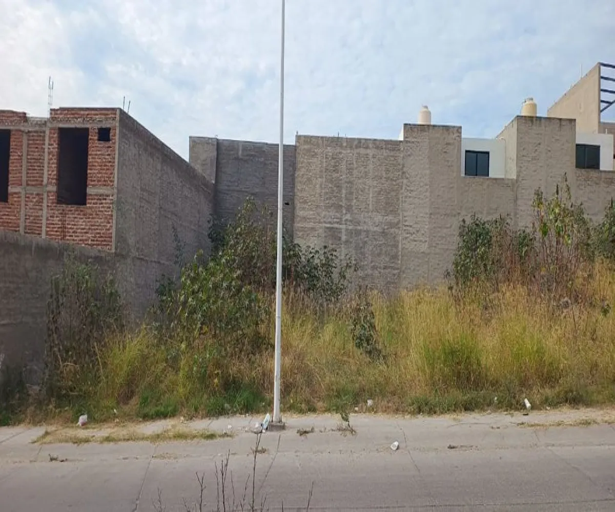 Terreno En Venta,Sagrado Corazón,Avenida Pedro García Salcedo 7, Zapotlanejo, Jalisco 45430,Avenida Pedro García Salcedo,pNnI1Zy Terreno En Venta,Sagrado Corazón,Avenida Pedro García Salcedo 7, Zapotlanejo, Jalisco 45430,Avenida Pedro García Salcedo,pNnI1Zy