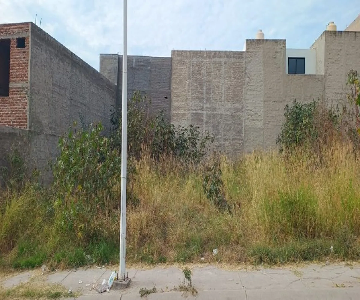 Terreno En Venta,Sagrado Corazón,Avenida Pedro García Salcedo 7, Zapotlanejo, Jalisco 45430,Avenida Pedro García Salcedo,pNnI1Zy Terreno En Venta,Sagrado Corazón,Avenida Pedro García Salcedo 7, Zapotlanejo, Jalisco 45430,Avenida Pedro García Salcedo,pNnI1Zy