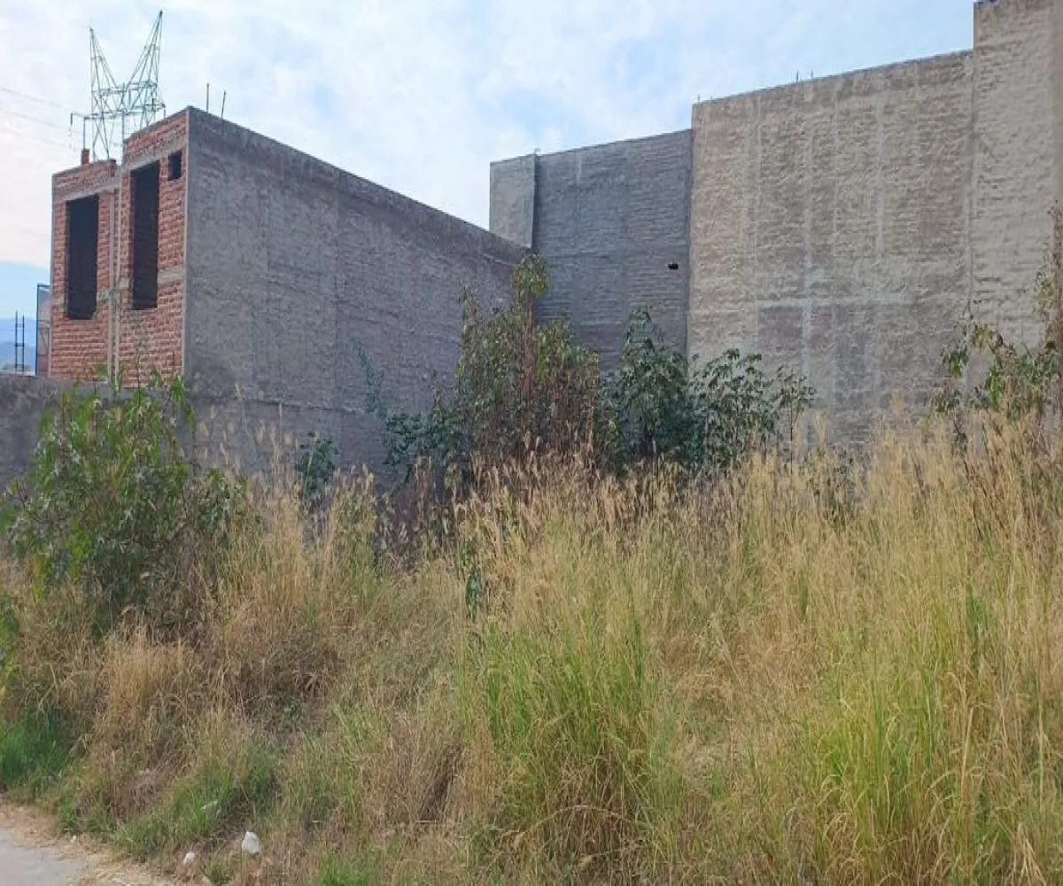 Terreno En Venta,Sagrado Corazón,Avenida Pedro García Salcedo 7, Zapotlanejo, Jalisco 45430,Avenida Pedro García Salcedo,pNnI1Zy Terreno En Venta,Sagrado Corazón,Avenida Pedro García Salcedo 7, Zapotlanejo, Jalisco 45430,Avenida Pedro García Salcedo,pNnI1Zy