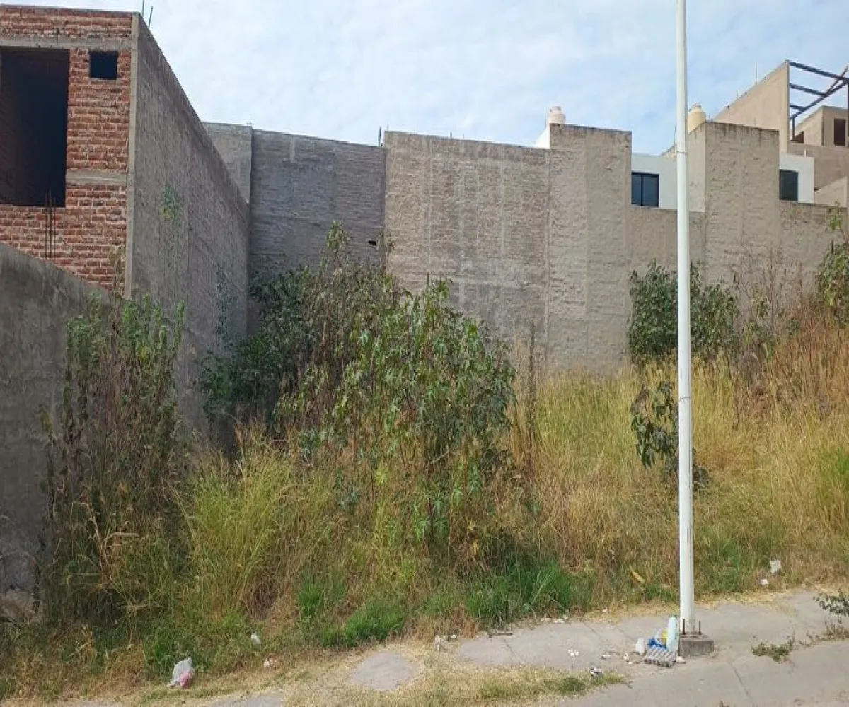 Terreno En Venta,Sagrado Corazón,Avenida Pedro García Salcedo 7, Zapotlanejo, Jalisco 45430,Avenida Pedro García Salcedo,pNnI1Zy Terreno En Venta,Sagrado Corazón,Avenida Pedro García Salcedo 7, Zapotlanejo, Jalisco 45430,Avenida Pedro García Salcedo,pNnI1Zy