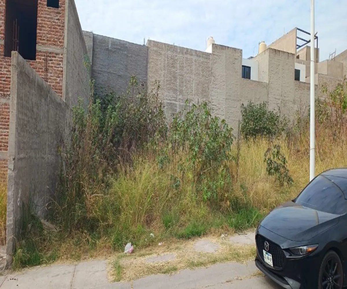 Terreno En Venta,Sagrado Corazón,Avenida Pedro García Salcedo 7, Zapotlanejo, Jalisco 45430,Avenida Pedro García Salcedo,pNnI1Zy Terreno En Venta,Sagrado Corazón,Avenida Pedro García Salcedo 7, Zapotlanejo, Jalisco 45430,Avenida Pedro García Salcedo,pNnI1Zy