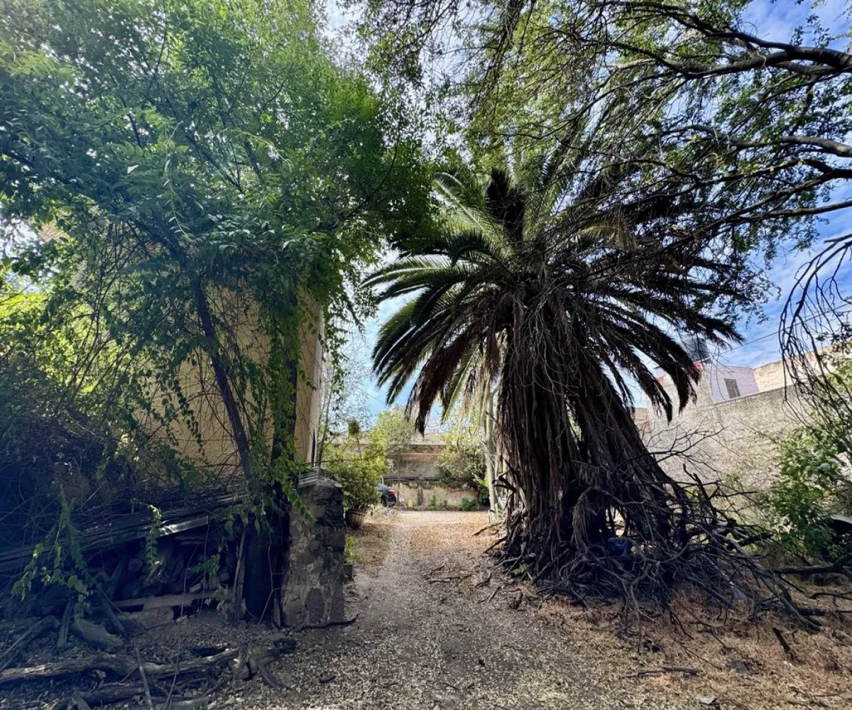 Terreno En Venta,Granja,Calzada Circunvalacion Oriente 175, Zapopan, Jalisco 45010,Calzada Circunvalacion Oriente,p88ex8y Terreno En Venta,Granja,Calzada Circunvalacion Oriente 175, Zapopan, Jalisco 45010,Calzada Circunvalacion Oriente,p88ex8y