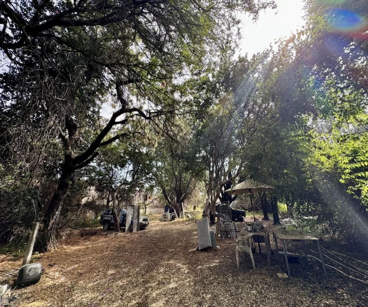 Terreno En Venta,Granja,Calzada Circunvalacion Oriente 175, Zapopan, Jalisco 45010,Calzada Circunvalacion Oriente,p88ex8y Terreno En Venta,Granja,Calzada Circunvalacion Oriente 175, Zapopan, Jalisco 45010,Calzada Circunvalacion Oriente,p88ex8y