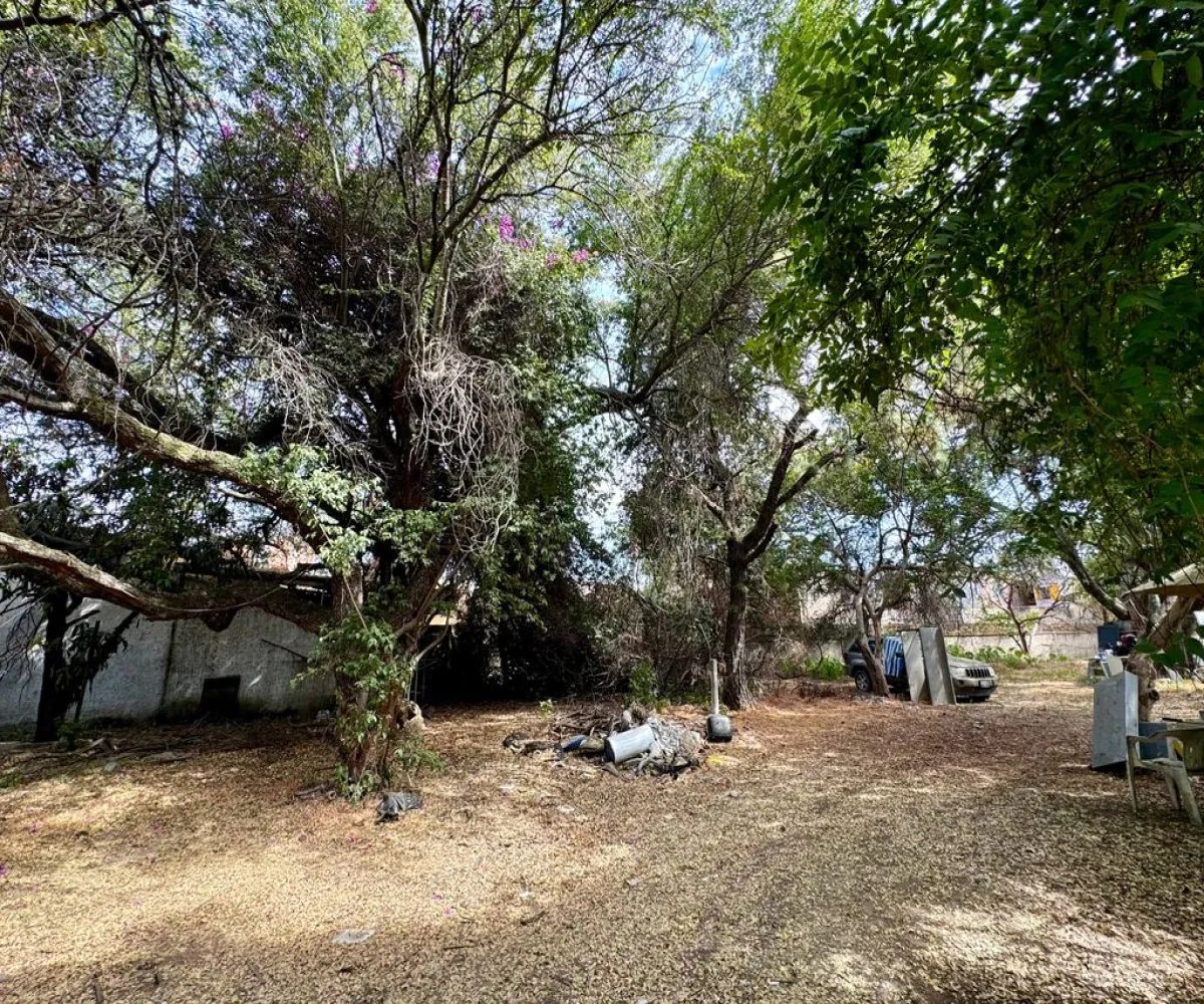 Terreno En Venta,Granja,Calzada Circunvalacion Oriente 175, Zapopan, Jalisco 45010,Calzada Circunvalacion Oriente,p88ex8y Terreno En Venta,Granja,Calzada Circunvalacion Oriente 175, Zapopan, Jalisco 45010,Calzada Circunvalacion Oriente,p88ex8y
