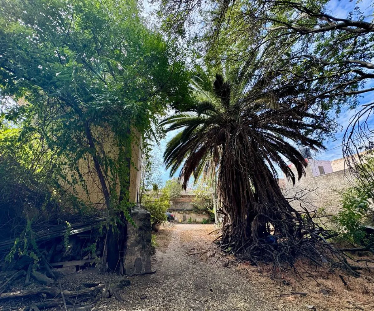 Terreno En Venta,Granja,Calzada Circunvalacion Oriente 175, Zapopan, Jalisco 45010,Calzada Circunvalacion Oriente,p88ex8y Terreno En Venta,Granja,Calzada Circunvalacion Oriente 175, Zapopan, Jalisco 45010,Calzada Circunvalacion Oriente,p88ex8y