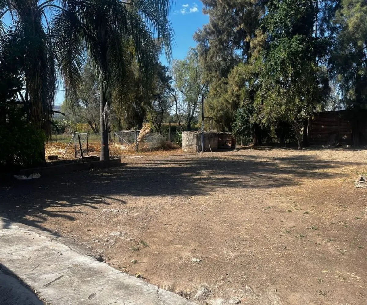 Terreno En Venta,zapotlanejo,Potrero Negro s/n, Zapotlanejo, Jalisco 45430, 5 Habitaciones,3 Baños,Potrero Negro,1,p0UzXKA Terreno En Venta,zapotlanejo,Potrero Negro s/n, Zapotlanejo, Jalisco 45430, 5 Habitaciones,3 Baños,Potrero Negro,1,p0UzXKA