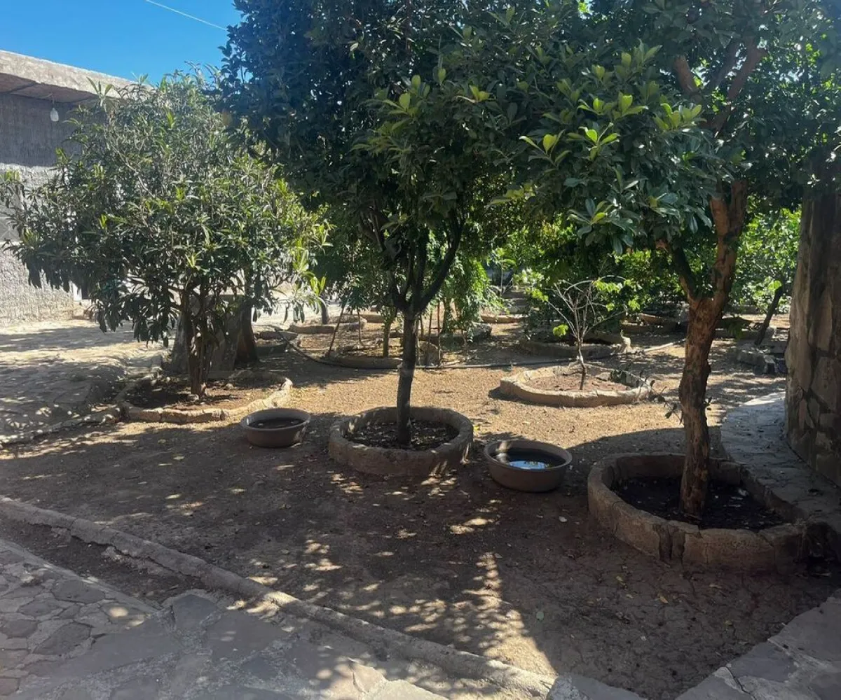 Terreno En Venta,zapotlanejo,Potrero Negro s/n, Zapotlanejo, Jalisco 45430, 5 Habitaciones,3 Baños,Potrero Negro,1,p0UzXKA Terreno En Venta,zapotlanejo,Potrero Negro s/n, Zapotlanejo, Jalisco 45430, 5 Habitaciones,3 Baños,Potrero Negro,1,p0UzXKA