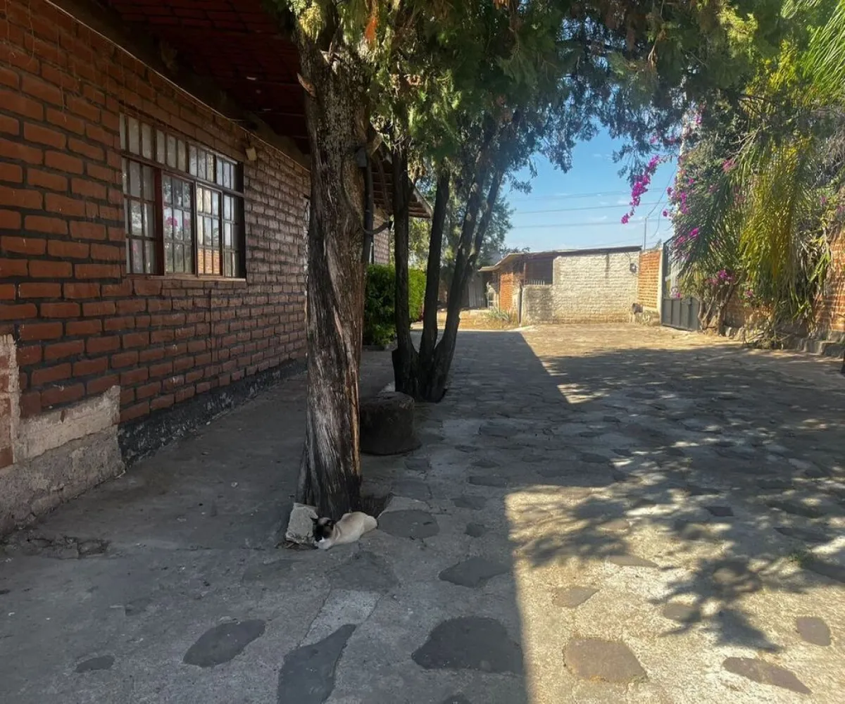 Terreno En Venta,zapotlanejo,Potrero Negro s/n, Zapotlanejo, Jalisco 45430, 5 Habitaciones,3 Baños,Potrero Negro,1,p0UzXKA Terreno En Venta,zapotlanejo,Potrero Negro s/n, Zapotlanejo, Jalisco 45430, 5 Habitaciones,3 Baños,Potrero Negro,1,p0UzXKA