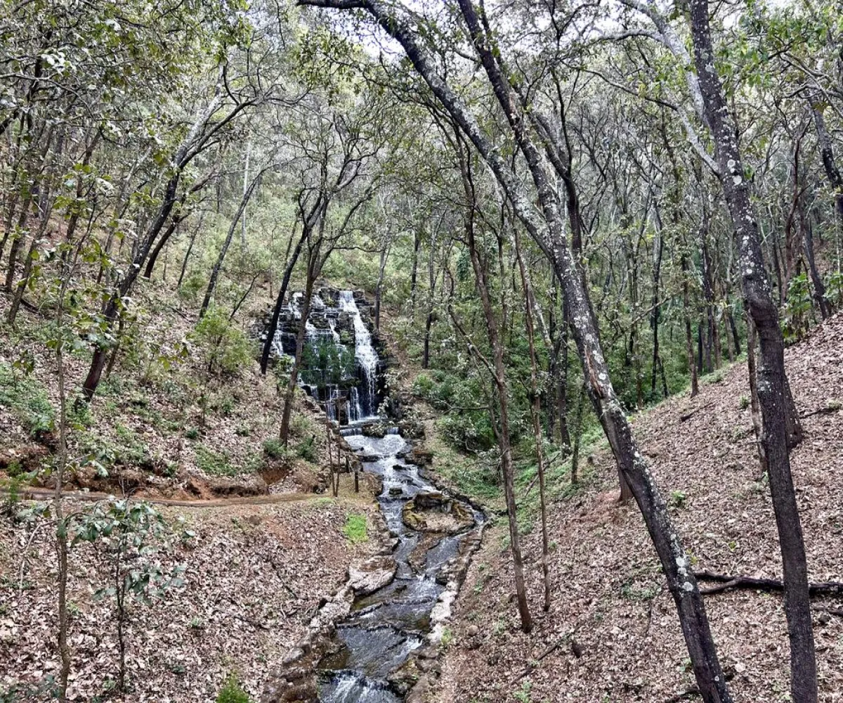 Terreno En Venta,Reserva de los Encinos,Reserva de los Encinos S/N 5, Teuchitlán, Jalisco 46760,Reserva de los Encinos,pOi6WPn Terreno En Venta,Reserva de los Encinos,Reserva de los Encinos S/N 5, Teuchitlán, Jalisco 46760,Reserva de los Encinos,pOi6WPn
