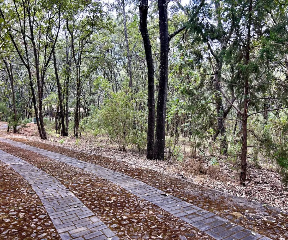 Terreno En Venta,Reserva de los Encinos,Reserva de los Encinos S/N 5, Teuchitlán, Jalisco 46760,Reserva de los Encinos,pOi6WPn Terreno En Venta,Reserva de los Encinos,Reserva de los Encinos S/N 5, Teuchitlán, Jalisco 46760,Reserva de los Encinos,pOi6WPn