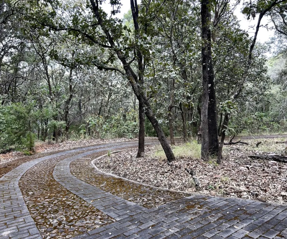 Terreno En Venta,Reserva de los Encinos,Reserva de los Encinos S/N 5, Teuchitlán, Jalisco 46760,Reserva de los Encinos,pOi6WPn Terreno En Venta,Reserva de los Encinos,Reserva de los Encinos S/N 5, Teuchitlán, Jalisco 46760,Reserva de los Encinos,pOi6WPn