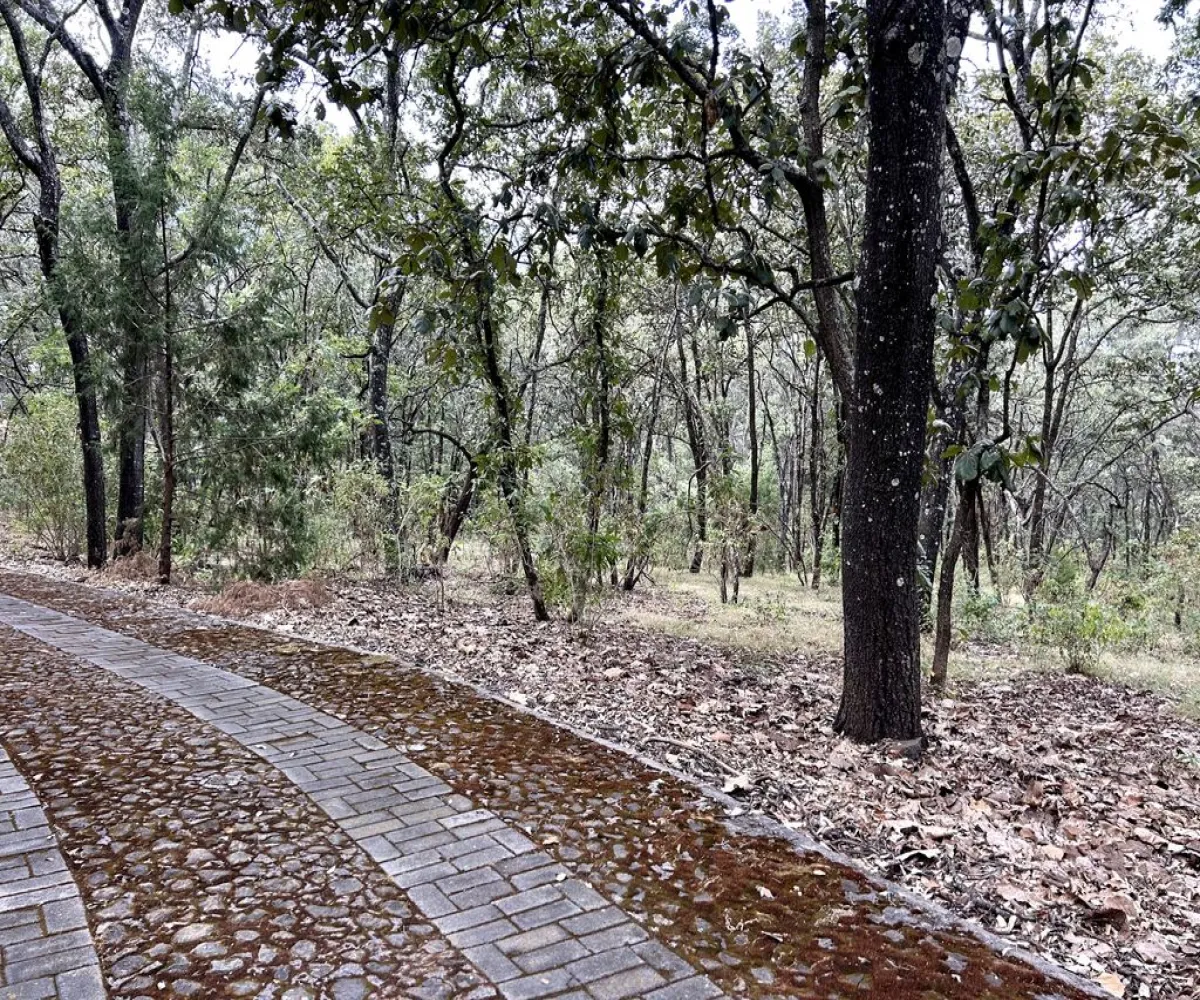 Terreno En Venta,Reserva de los Encinos,Reserva de los Encinos S/N 5, Teuchitlán, Jalisco 46760,Reserva de los Encinos,pOi6WPn Terreno En Venta,Reserva de los Encinos,Reserva de los Encinos S/N 5, Teuchitlán, Jalisco 46760,Reserva de los Encinos,pOi6WPn