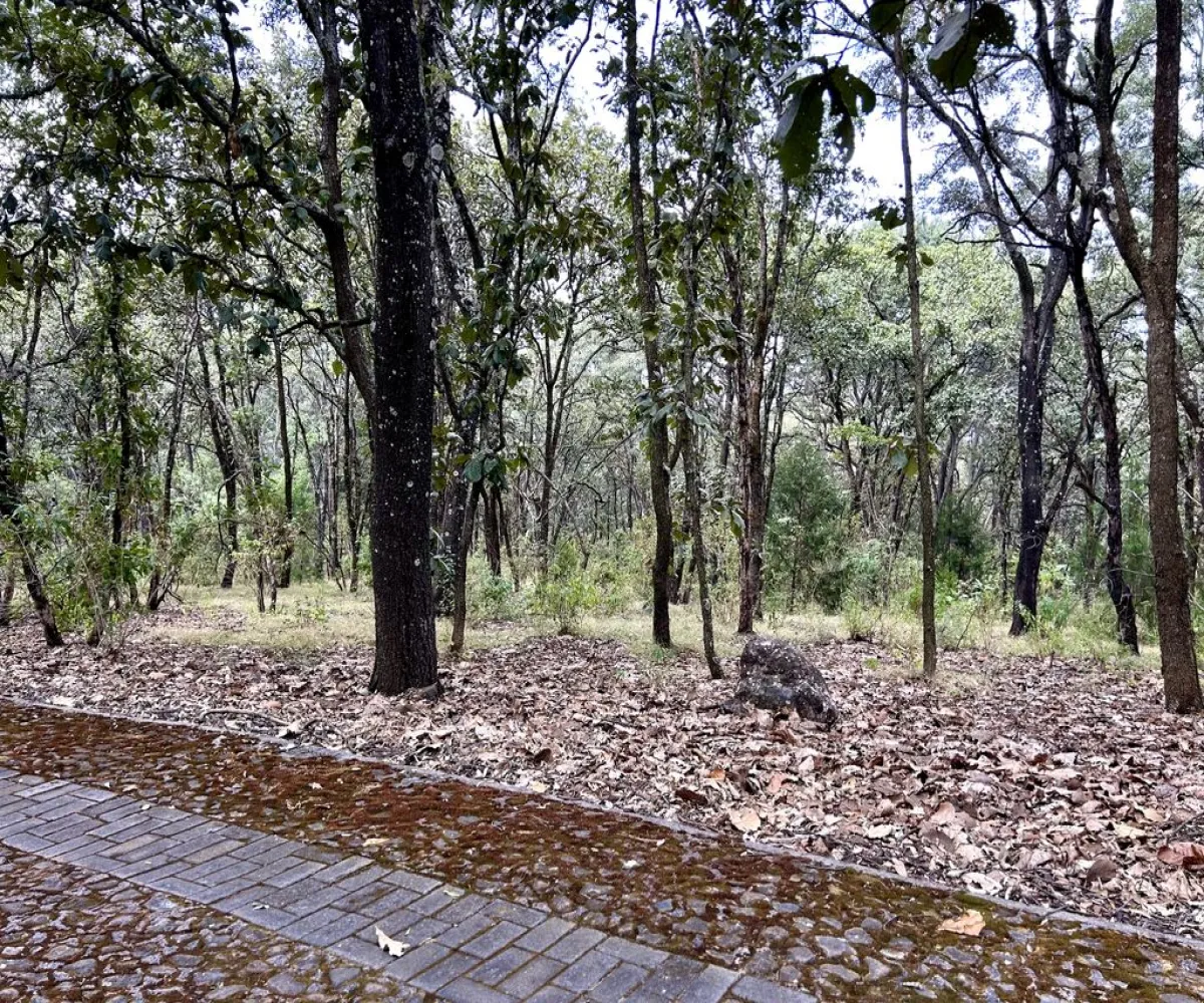 Terreno En Venta,Reserva de los Encinos,Reserva de los Encinos S/N 5, Teuchitlán, Jalisco 46760,Reserva de los Encinos,pOi6WPn Terreno En Venta,Reserva de los Encinos,Reserva de los Encinos S/N 5, Teuchitlán, Jalisco 46760,Reserva de los Encinos,pOi6WPn