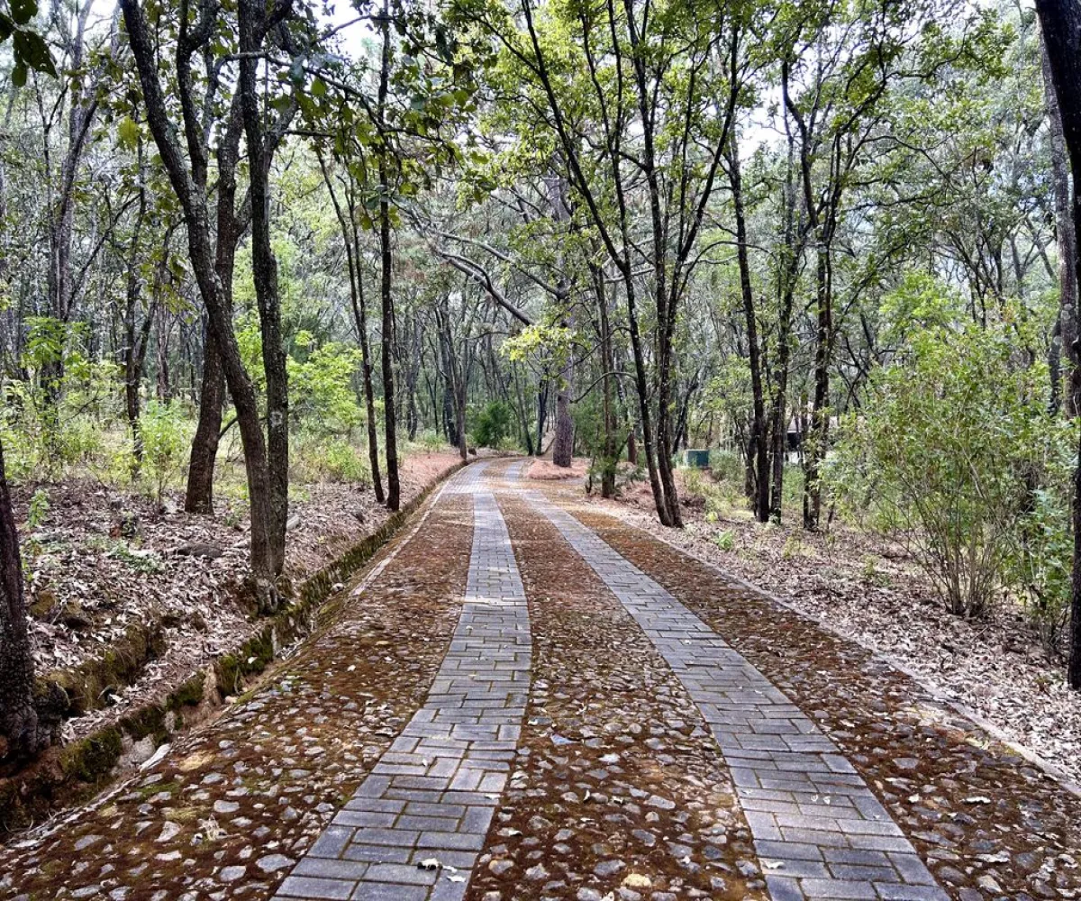 Terreno En Venta,Reserva de los Encinos,Reserva de los Encinos S/N 5, Teuchitlán, Jalisco 46760,Reserva de los Encinos,pOi6WPn Terreno En Venta,Reserva de los Encinos,Reserva de los Encinos S/N 5, Teuchitlán, Jalisco 46760,Reserva de los Encinos,pOi6WPn