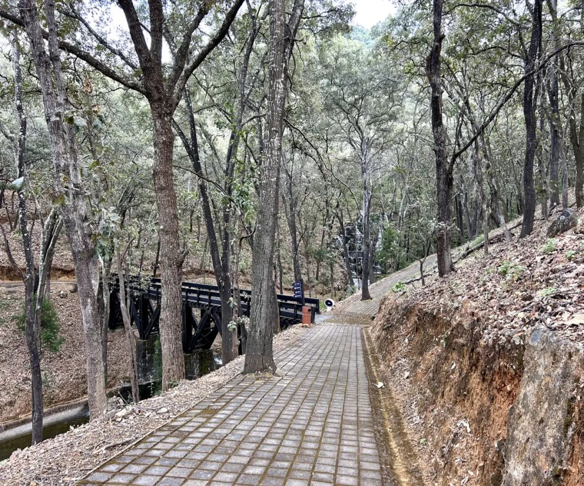 Terreno En Venta,Reserva de los Encinos,Reserva de los Encinos S/N 5, Teuchitlán, Jalisco 46760,Reserva de los Encinos,pOi6WPn Terreno En Venta,Reserva de los Encinos,Reserva de los Encinos S/N 5, Teuchitlán, Jalisco 46760,Reserva de los Encinos,pOi6WPn