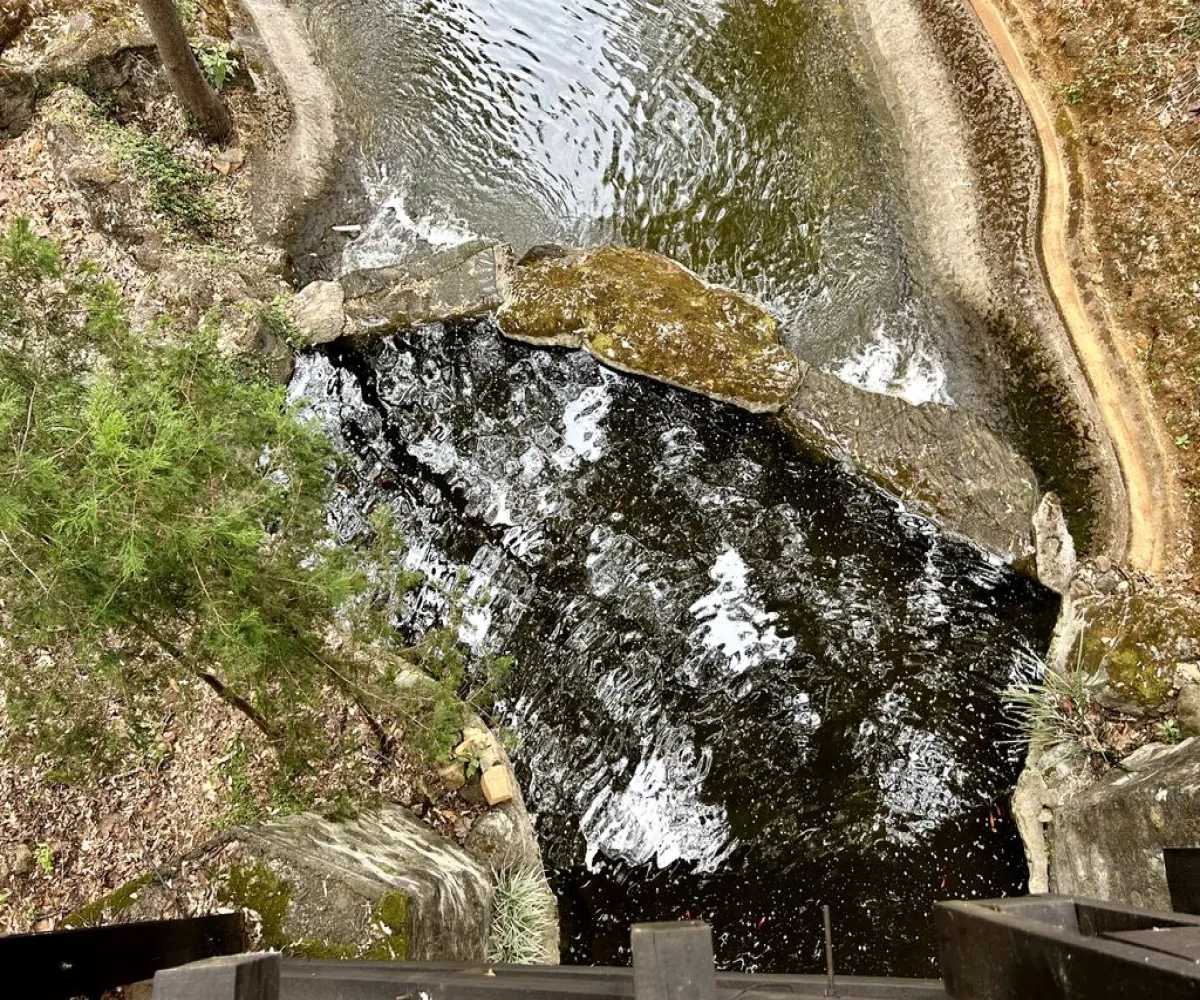 Terreno En Venta,Reserva de los Encinos,Reserva de los Encinos S/N 5, Teuchitlán, Jalisco 46760,Reserva de los Encinos,pOi6WPn Terreno En Venta,Reserva de los Encinos,Reserva de los Encinos S/N 5, Teuchitlán, Jalisco 46760,Reserva de los Encinos,pOi6WPn