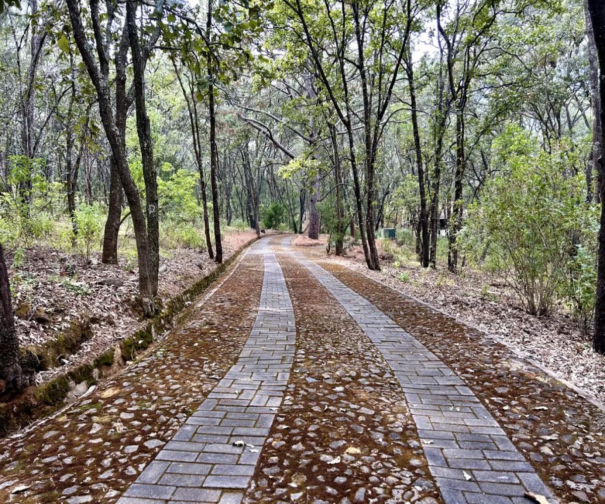 Terreno En Venta,Reserva de los Encinos,Reserva de los Encinos S/N 5, Teuchitlán, Jalisco 46760,Reserva de los Encinos,pOi6WPn Terreno En Venta,Reserva de los Encinos,Reserva de los Encinos S/N 5, Teuchitlán, Jalisco 46760,Reserva de los Encinos,pOi6WPn