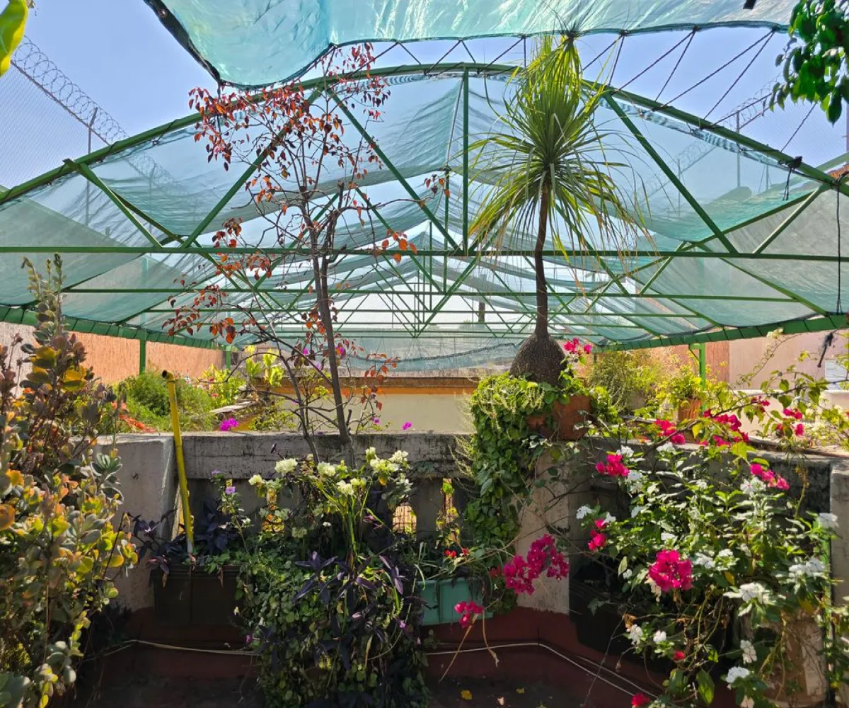 Casa En Renta,Centro,Calle Hospital 768, Guadalajara, Jalisco 44100,Calle Hospital,1,pkE2sSD Casa En Renta,Centro,Calle Hospital 768, Guadalajara, Jalisco 44100,Calle Hospital,1,pkE2sSD