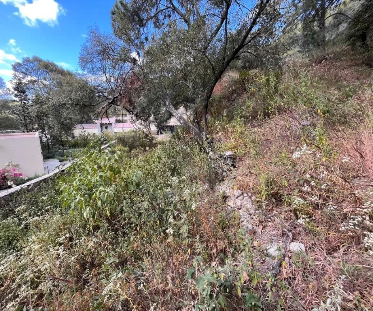 Terreno En Venta,Pinar de la Venta,Paseo de la Casuarina 20 18, México, Jalisco 45221,Paseo de la Casuarina,1,pADP7Nf Terreno En Venta,Pinar de la Venta,Paseo de la Casuarina 20 18, México, Jalisco 45221,Paseo de la Casuarina,1,pADP7Nf