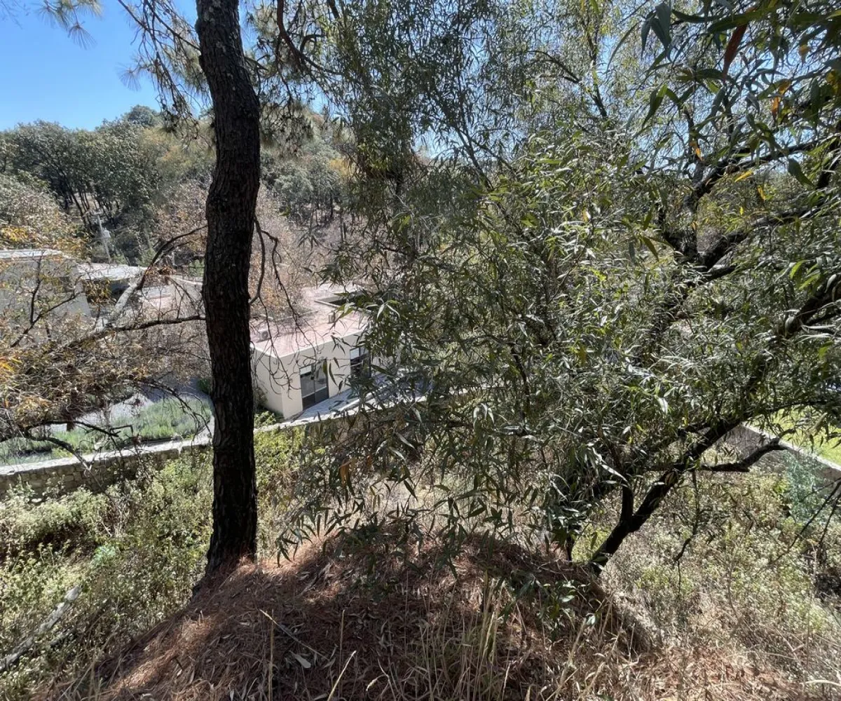 Terreno En Venta,Pinar de la Venta,Paseo de la Casuarina 20 18, México, Jalisco 45221,Paseo de la Casuarina,1,pADP7Nf Terreno En Venta,Pinar de la Venta,Paseo de la Casuarina 20 18, México, Jalisco 45221,Paseo de la Casuarina,1,pADP7Nf