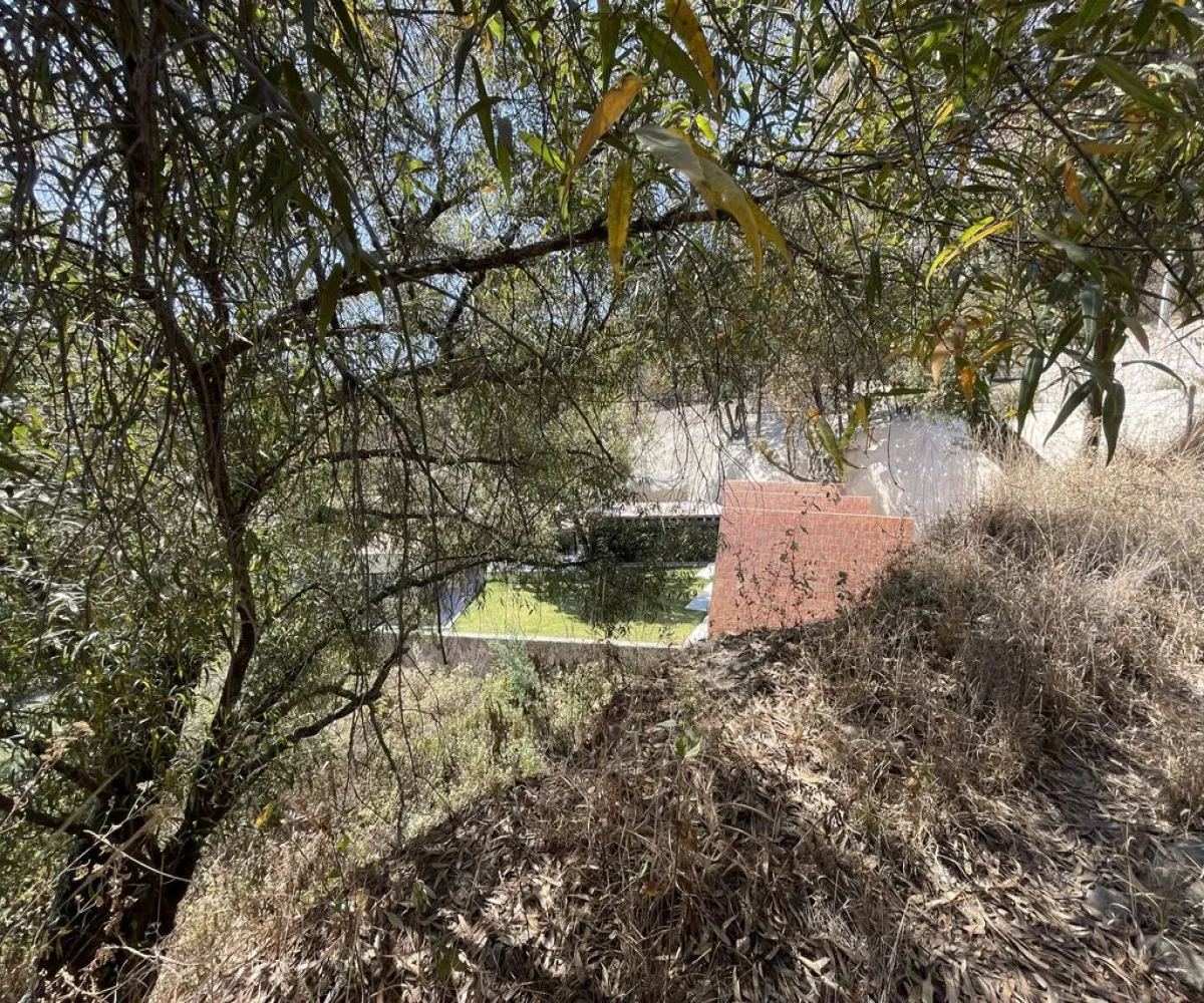 Terreno En Venta,Pinar de la Venta,Paseo de la Casuarina 20 18, México, Jalisco 45221,Paseo de la Casuarina,1,pADP7Nf Terreno En Venta,Pinar de la Venta,Paseo de la Casuarina 20 18, México, Jalisco 45221,Paseo de la Casuarina,1,pADP7Nf