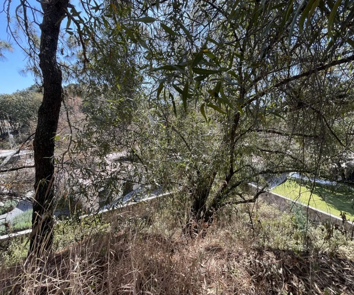 Terreno En Venta,Pinar de la Venta,Paseo de la Casuarina 20 18, México, Jalisco 45221,Paseo de la Casuarina,1,pADP7Nf Terreno En Venta,Pinar de la Venta,Paseo de la Casuarina 20 18, México, Jalisco 45221,Paseo de la Casuarina,1,pADP7Nf