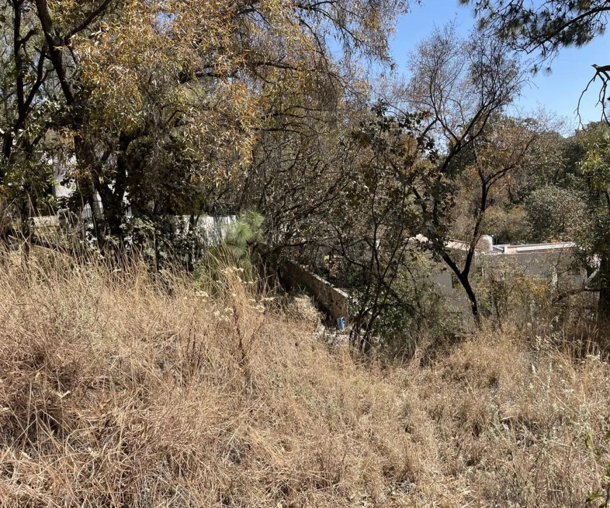 Terreno En Venta,Pinar de la Venta,Paseo de la Casuarina 20 18, México, Jalisco 45221,Paseo de la Casuarina,1,pADP7Nf Terreno En Venta,Pinar de la Venta,Paseo de la Casuarina 20 18, México, Jalisco 45221,Paseo de la Casuarina,1,pADP7Nf