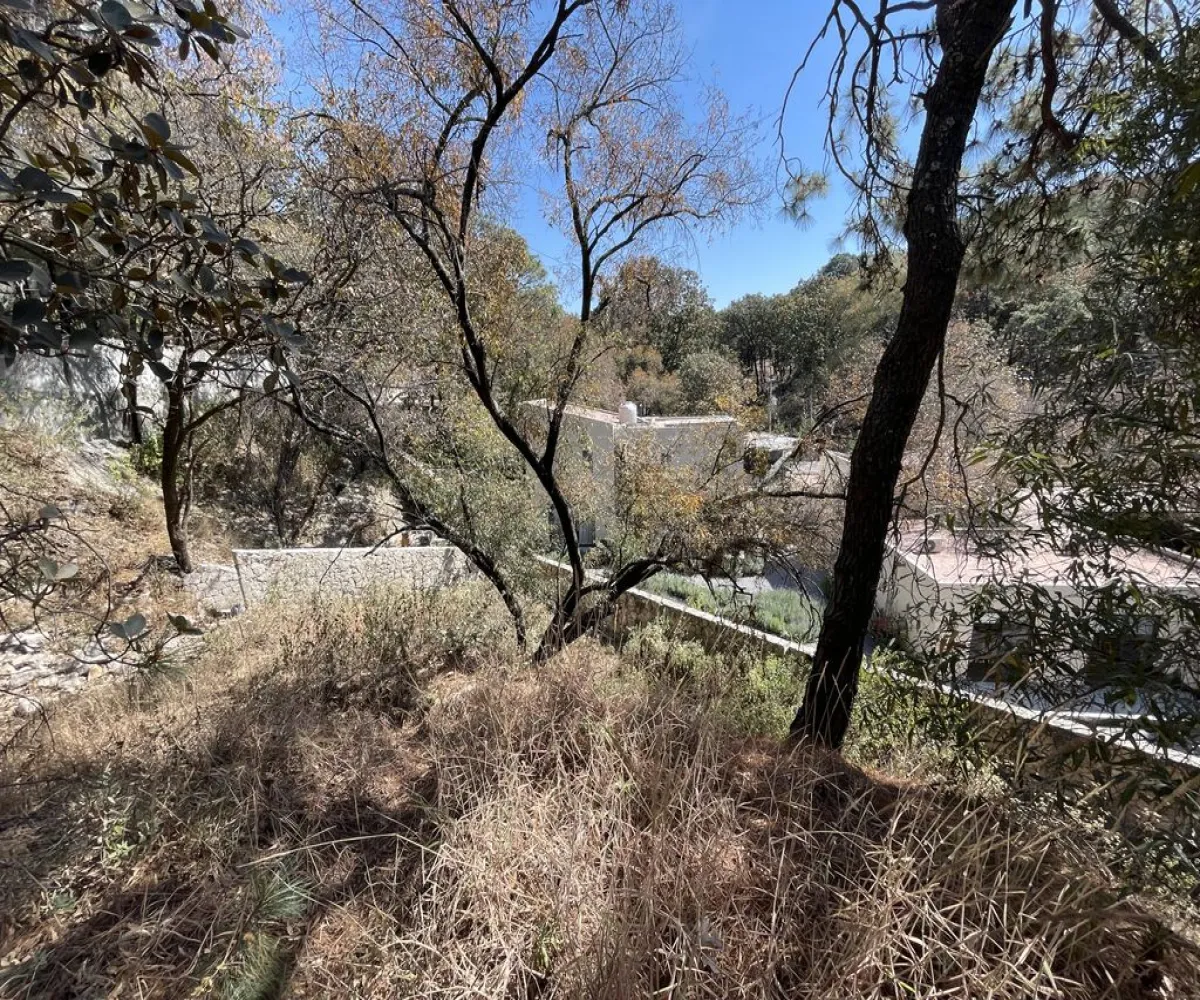 Terreno En Venta,Pinar de la Venta,Paseo de la Casuarina 20 18, México, Jalisco 45221,Paseo de la Casuarina,1,pADP7Nf Terreno En Venta,Pinar de la Venta,Paseo de la Casuarina 20 18, México, Jalisco 45221,Paseo de la Casuarina,1,pADP7Nf