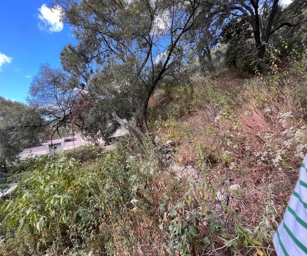 Terreno En Venta,Pinar de la Venta,Paseo de la Casuarina 20 18, México, Jalisco 45221,Paseo de la Casuarina,1,pADP7Nf Terreno En Venta,Pinar de la Venta,Paseo de la Casuarina 20 18, México, Jalisco 45221,Paseo de la Casuarina,1,pADP7Nf