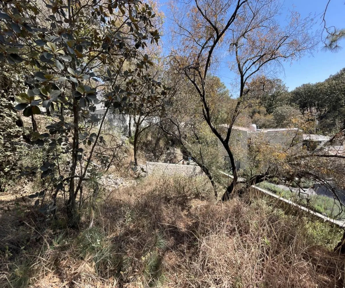 Terreno En Venta,Pinar de la Venta,Paseo de la Casuarina 20 18, México, Jalisco 45221,Paseo de la Casuarina,1,pADP7Nf Terreno En Venta,Pinar de la Venta,Paseo de la Casuarina 20 18, México, Jalisco 45221,Paseo de la Casuarina,1,pADP7Nf