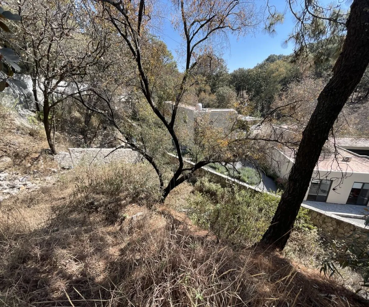 Terreno En Venta,Pinar de la Venta,Paseo de la Casuarina 20 18, México, Jalisco 45221,Paseo de la Casuarina,1,pADP7Nf Terreno En Venta,Pinar de la Venta,Paseo de la Casuarina 20 18, México, Jalisco 45221,Paseo de la Casuarina,1,pADP7Nf