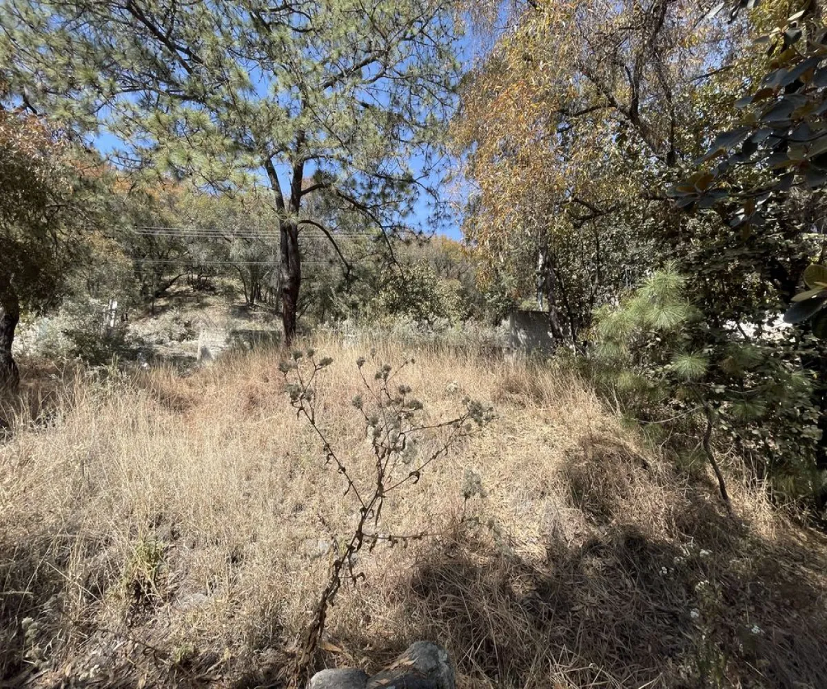 Terreno En Venta,Pinar de la Venta,Paseo de la Casuarina 20 18, México, Jalisco 45221,Paseo de la Casuarina,1,pADP7Nf Terreno En Venta,Pinar de la Venta,Paseo de la Casuarina 20 18, México, Jalisco 45221,Paseo de la Casuarina,1,pADP7Nf